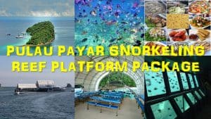 PULAU-PAYAR-SNORKELING-REEF-PLATFORM-EX-Penang