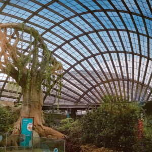 entopia penang