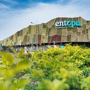 Entopia & Tropical Fruit Farm Full Day Tour