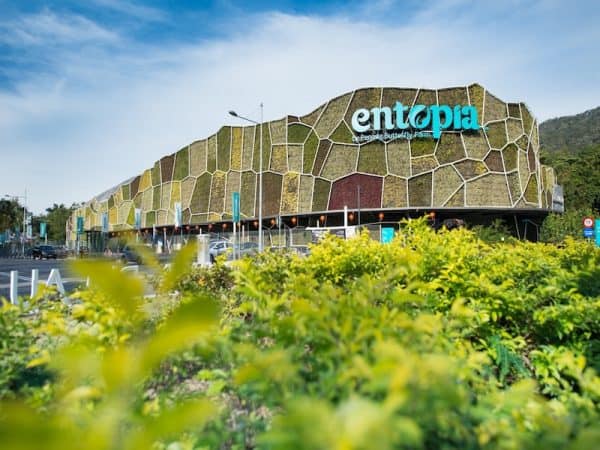 Entopia & Tropical Fruit Farm Full Day Tour
