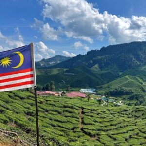 cameron highland day tour from kuala lumpur